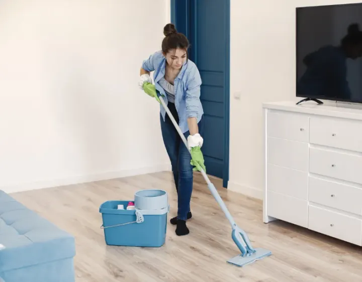 Femme de ménage Le Pallet